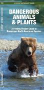 Dangerous Animals & Plants - Preview