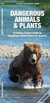Capa do artigo Dangerous Animals & Plants