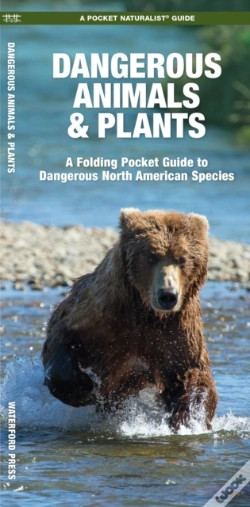 Capa do artigo Dangerous Animals & Plants