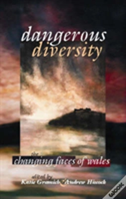 Capa do artigo Dangerous Diversity