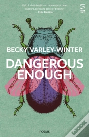 Capa do artigo Dangerous Enough