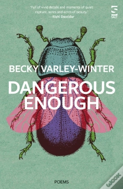 Capa do artigo Dangerous Enough
