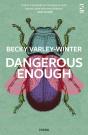 Dangerous Enough - Preview