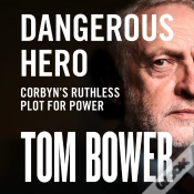 Capa do artigo Dangerous Hero