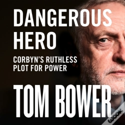 Capa do artigo Dangerous Hero