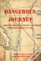 Dangerous Journey