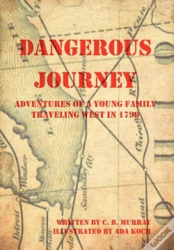 Capa do artigo Dangerous Journey