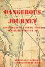 Dangerous Journey - Preview