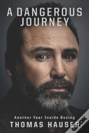 Capa do artigo Dangerous Journey