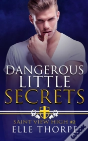 Capa do artigo Dangerous Little Secrets