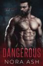 Dangerous - Preview