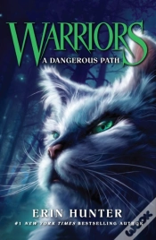 Capa do artigo Dangerous Path
