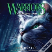 Capa do artigo Dangerous Path