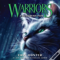 Capa do artigo Dangerous Path