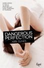 Dangerous Perfection - Preview