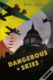 Capa do artigo Dangerous Skies