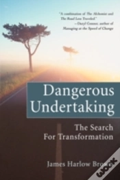 Capa do artigo Dangerous Undertaking