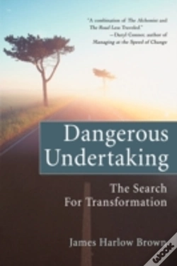 Capa do artigo Dangerous Undertaking