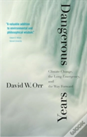 Capa do artigo Dangerous Years