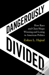 Capa do artigo Dangerously Divided