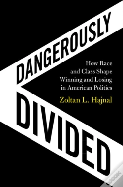 Capa do artigo Dangerously Divided