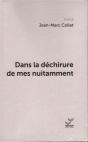 Dans La Dechirure De Mes Nuitamment - Preview