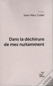 Dans La Dechirure De Mes Nuitamment