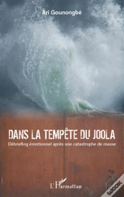 Capa do artigo Dans La Tempête Du Joola ; Débriefing Émotionnel Après Une Catastrophe De Masse