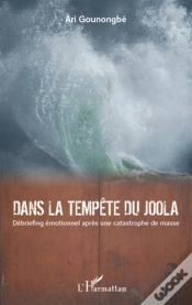 Capa do artigo Dans La Tempête Du Joola ; Débriefing Émotionnel Après Une Catastrophe De Masse