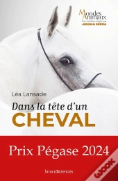 Dans La Tête D'Un Cheval