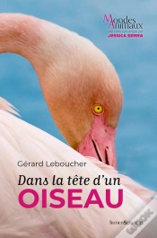 Capa do artigo Dans La Tête D