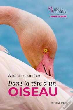 Capa do artigo Dans La Tête D'Un Oiseau