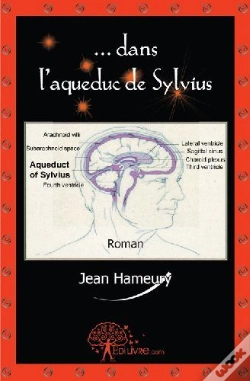 Capa do artigo ...Dans L'Aqueduc De Sylvius