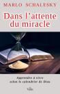 Dans L'Attente Du Miracle - Preview