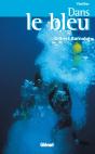 Dans Le Bleu - Preview