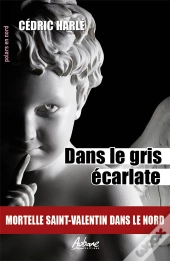 Dans Le Gris Écarlate : Mortelle Saint-Valentin Dans Le Nord