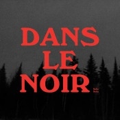 Capa do artigo Dans Le Noir - Vinil
