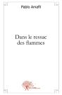 Dans Le Ressac Des Flammes - Preview