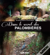 Dans Le Secret Des Palombières