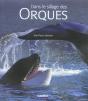 Dans Le Sillage Des Orques - Preview