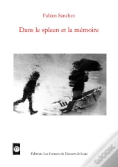 Dans Le Spleen Et La Mémoire