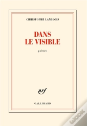 Dans Le Visible