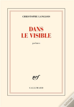 Capa do artigo Dans Le Visible
