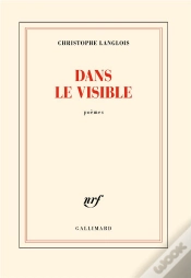 Capa do artigo Dans Le Visible