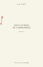 Dans Les Bras De L'Improbable - Preview