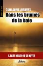 Dans Les Brumes De La Baie - Preview