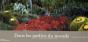 Dans Les Jardins Du Monde ; 80 Lieux D'Exception - Preview