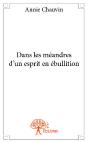 Dans Les Meandres D'Un Esprit En Ebullition - Preview