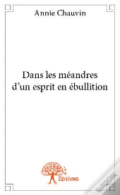 Dans Les Meandres D'Un Esprit En Ebullition