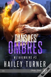 Capa do artigo Dans Les Ombres